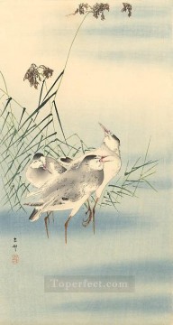 花 鳥 Painting - シギ 大原古邨鳥